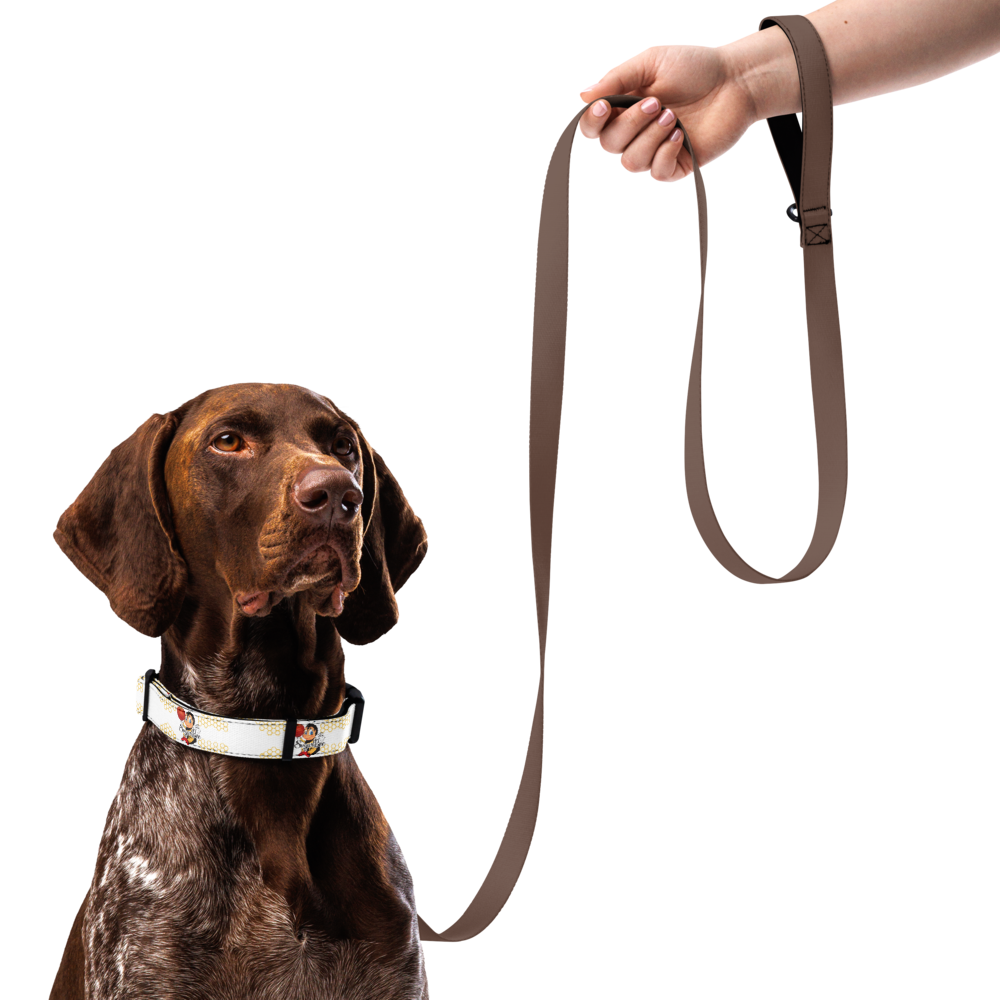 Pet collar